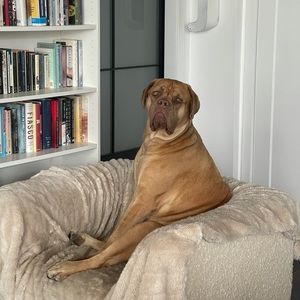 Meet your Posher, Bobby